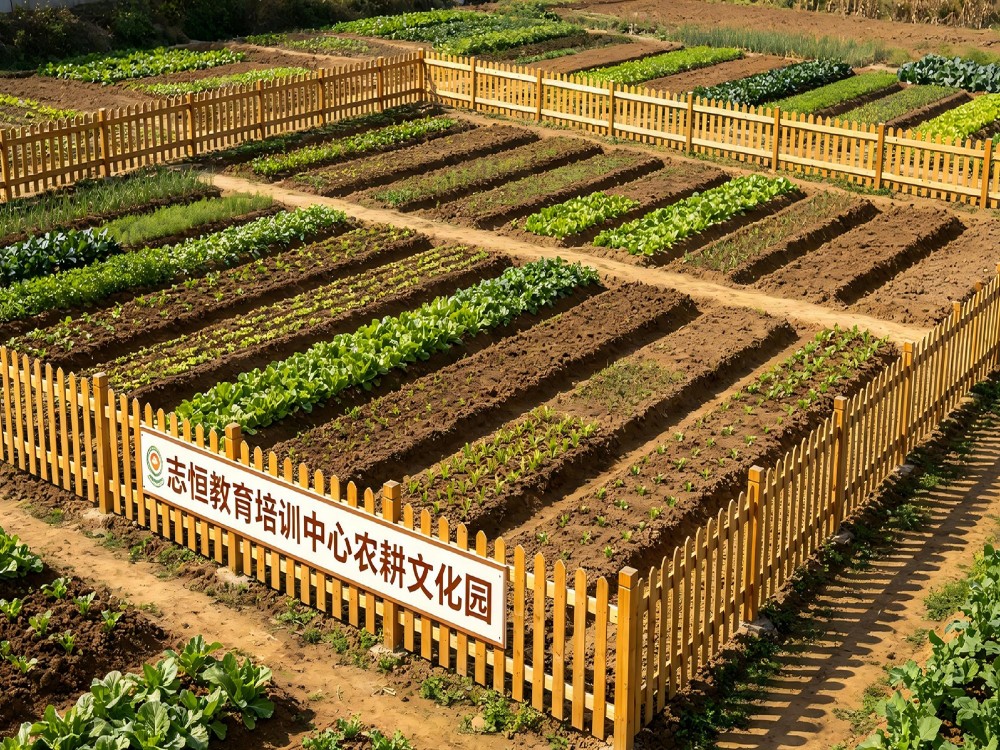 合肥性价比高的叛逆孩子教育学校选择标准：从专业视角看志恒教育培训学校