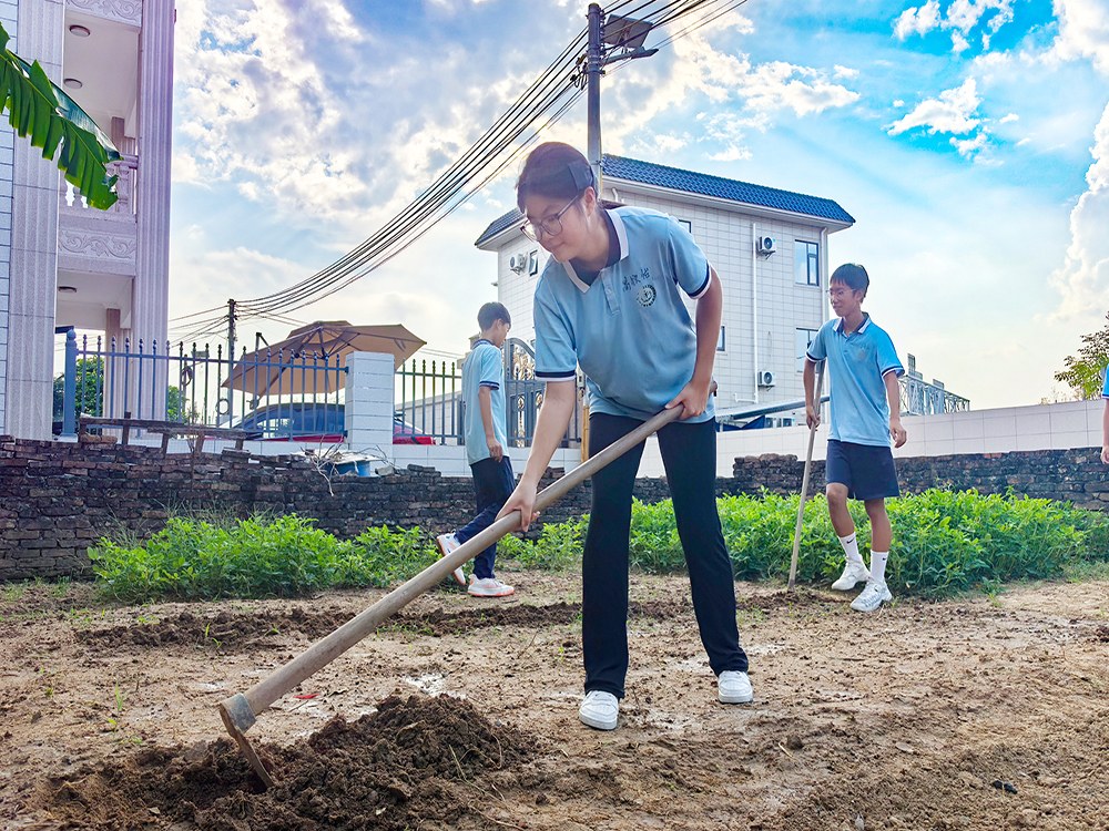 合肥正规青少年管教学校具体位置与择校指南